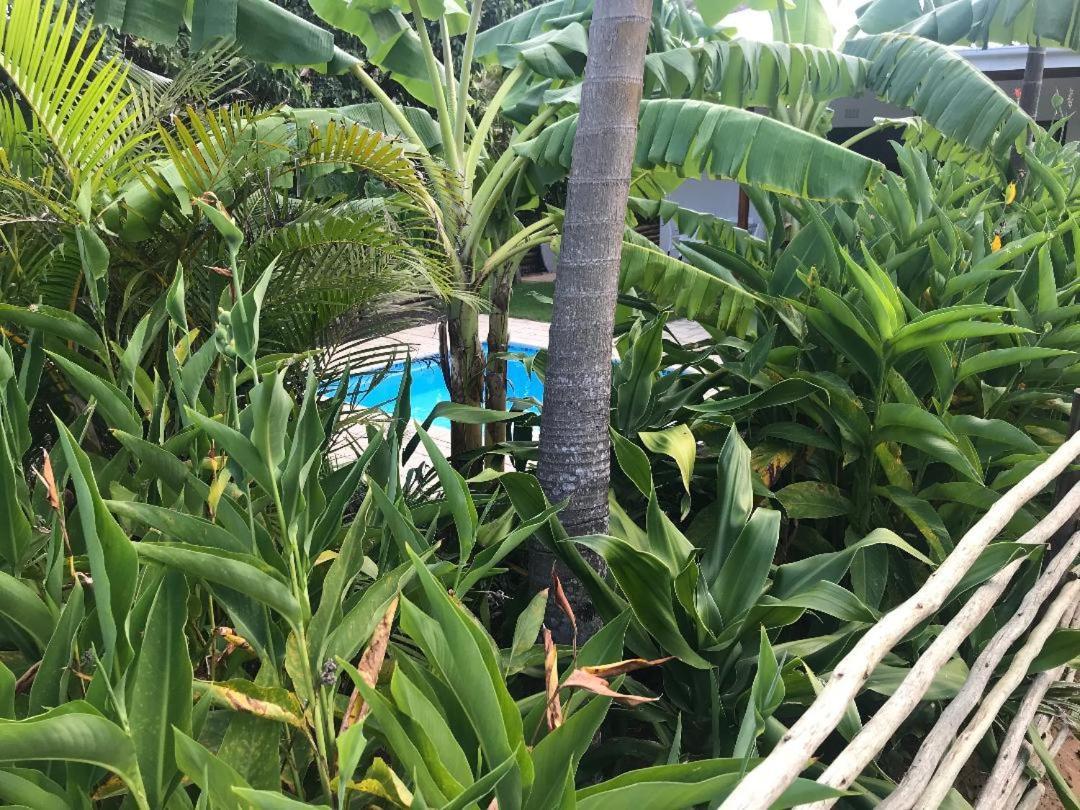 62 Hornbill Street Villa Saint Lucia Estuary Exterior foto